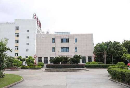 松江区鲜美三文鱼推荐