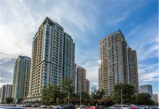 东莞稻花香2022新米上市有机